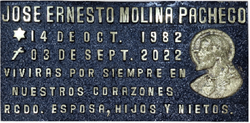 Placa nueva de bronce