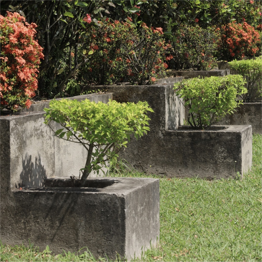 Placa nueva de bronce